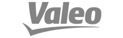 valeo turkiye tuzla organize depo referanslarimiz